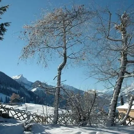 Tannegg Im Berneroberland Apartment *