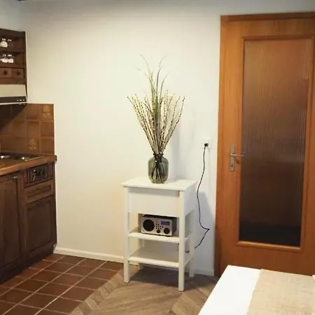 Tannegg Im Berneroberland Apartment *