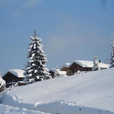 Tannegg Im Berneroberland Apartman *