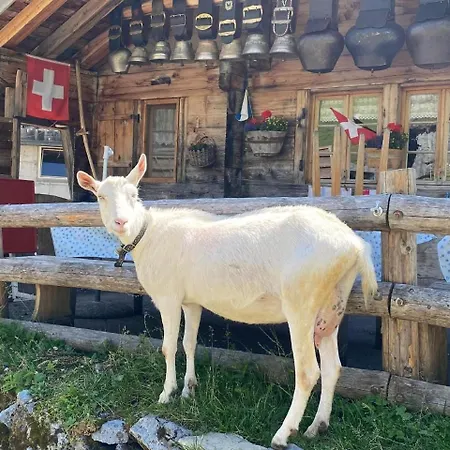 Apartman Tannegg Im Berneroberland *
