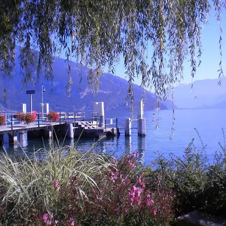 Tannegg Im Berneroberland *