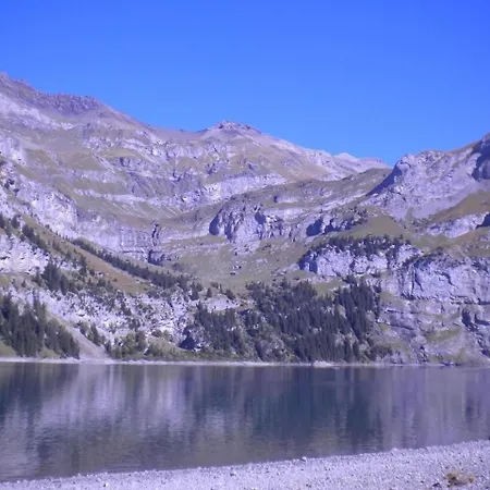 Daire Tannegg Im Berneroberland